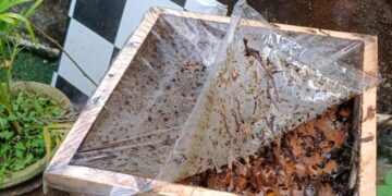 Warga Margomulyo Produksi Madu