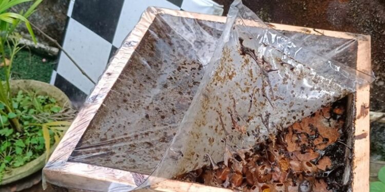 Warga Margomulyo Produksi Madu