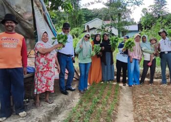 Berita RT 66 Batu Ampar