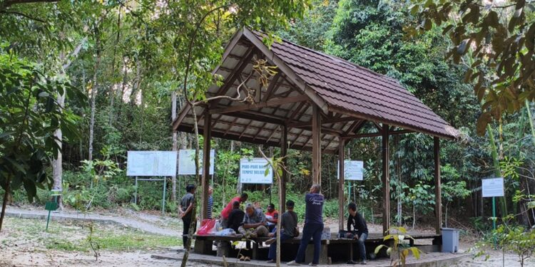 Taman Hutan Kota