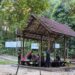Taman Hutan Kota