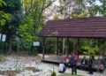 taman hutan kota