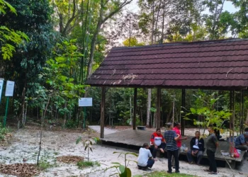 taman hutan kota