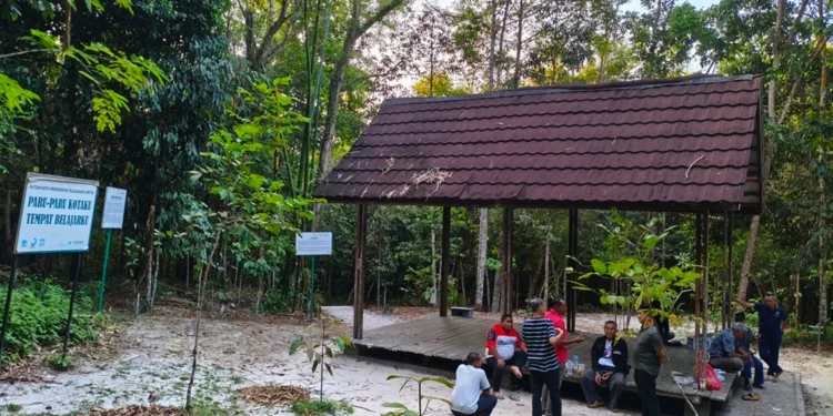 taman hutan kota