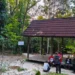 taman hutan kota