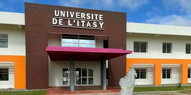 Universitas Mulia