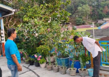 Berita RT di Balikpapan